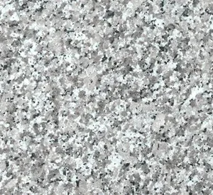 Granite Grigio Sardo