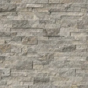 Travertine Silver